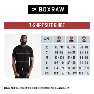 Koszulka Boxraw Sparring Club Oversize Szary