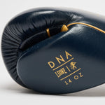 Rękawice bokserskie Leone DNA Premium GN002 Niebieski 