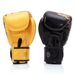 Rękawice do Muay Thai Fairtex BGV26 Harmony Six 
