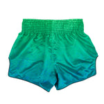 Spodenki kick-thai Fairtex BS1953 Quantum 