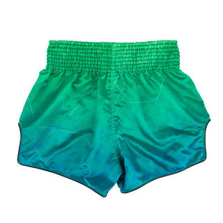 Spodenki kick-thai Fairtex BS1953 Quantum 