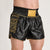 Spodenki kick-thai Leone DNA Premium AB969 Czarne 