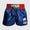 Spodenki Kick-Thai Venum Muay Thai Classic 