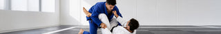 Brazylijskie jiu jitsu