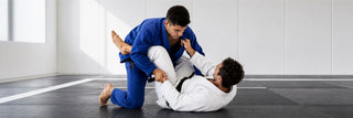 Brazylijskie jiu jitsu