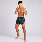 Szorty kick-thai Fairtex BS1902 Stealth #2