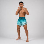Szorty kick-thai Fairtex BS1906 Fade Zielony