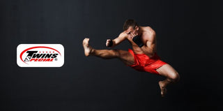 Rękawice do Muay Thai Twins Special FBGVL3 Aztec 